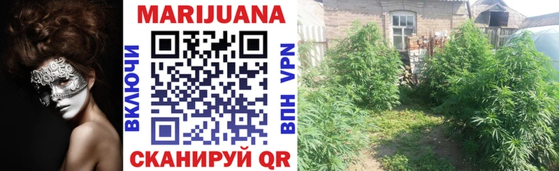 Купить где  Козельск  МАРИХУАНА индика 